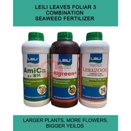 1L LEILI LEAVES FOLIAR 3 叶三宝 (LEILI AMICA, LEILI ALGREEN & LEILI 2000) - LEILI FOLIAR SEAWEED FERTIL