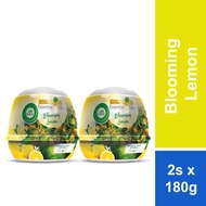 Air Wick Air Freshener Scented Gel Cone Aromatic Lemon 180g x 2s