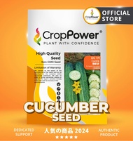 HOT ITEM🔥  (10 GRAM) Biji Benih Timun Cantik 赚多多 DC171 CROP POWER F1 Hybrid Cucumber seeds 黄瓜种子 DC 171
