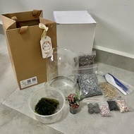 Closed Ornamental DIY Live Moss Terrarium Kit Package Gift / present / christmas xmas DIY kit choice of figurines