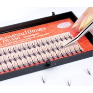 Starscolors C Curl High Quality Silk Lashes 8-12mm Fake False Eyelash High Quality Makeup Cilia Exte