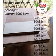 Plywood/wood plywood retail pieces size 20x25cm thickness 9mm.