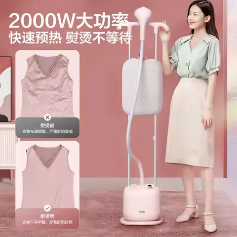 Garment Steamer for Home & Clothing Store: Dual-Rod, Handheld/Hanging Type, steamer for clothes garm