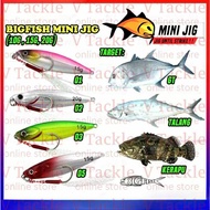 Bigfish mini jig micro jig with assist hook