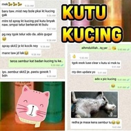 UBAT KUTU KUCING KURAP KUCING SAKIT MATA / ringworm cat / kucing kurap /kucing sakit mata / cat fung