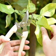 Greening Garden Gardening Shears Gardener Shears Flower Branch Pruning Branch Shears Fruit Branch Sh