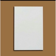 Painting Canvas 30x30