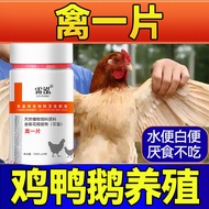 ✨Bird One Piece 100 Pieces/Bottle Chicken First Aid One Piece Living Chicken Duck Goose Xuanfeng Rai