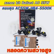 Set HB4/9006-55W DAO Standard Grade Xenon Light Ballast AC-55W Circuit Strong Still With HB4-55W Fas