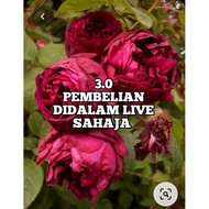 3.0 Bag Bundle items Bundle