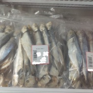 (360G) IKAN MASIN TAMBAN CC - tw kuantan