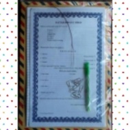 Complete Job Application Letter Package &