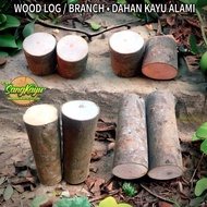 Medium Wood log height 5 cm diameter 6-7 cm craft decoration - 5 cm