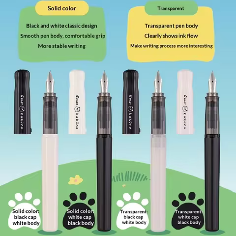 Japanese Pilot Kakuno Panda Limited Fountain Pen Kawaii Smiley Face Iridium Nib M/F Smooth and Stabl