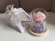 Rosemania 玻璃罩 永生花 擺設 - 拍拖 畢業 慶祝 節日 生日 紀念 謝師宴 禮物 女朋友 老婆 媽媽 送禮 愛 永恆 情人節 love flower