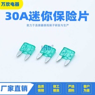 30A Car Fuse Car Fuse Fuse Car Blade Fuse Mini Fuse