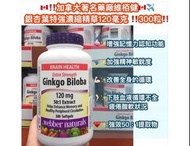 供應商現貨 -Webber naturals®️ 銀杏葉濃縮精華 120mg軟膠囊300粒