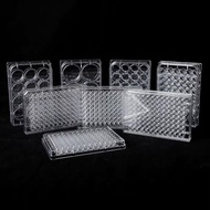 6孔12孔孔48孔96孔细菌培养板 酶标板圆孔培养皿板6-well, 12 well, 48 well, 96 well bacterial culture20250725