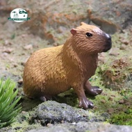 [In Stock] Capybara Figurines Capybara Statue Playset for Table Cake Topper Decoration