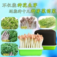 Peanut sprout plant box special dish bean sprout can for hydroponic cultivation Peanut sprout growin