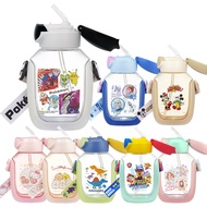 Skater Straw Water Bottle 6DX (530ml)