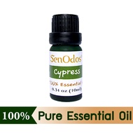 SenOdos น้ำมันหอมระเหยแท้ น้ำมันหอมอโรม่า น้ำมันหอม กลิ่นไซเปรสซ์ Cypress Essential Oil