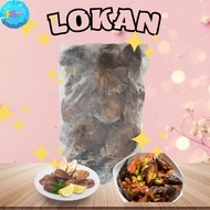 Frozen Lokan / Lokan Sejuk Beku (1.8kg)