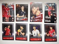 日本 龍神 Nippon Volleyball 排球 男排 接應後二 Miyaura 宮浦 官方 收藏卡