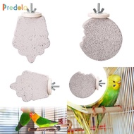[Predolo] Parrot Teeth Mouth Parrot Perch Stand Platform Birdcage Perch for Lovebirds Parakeets Cana