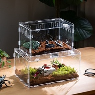 2290 Beetle Breeding Box—Transparent Acrylic Reptile Enclosure for Snails, Insects, and Rhinoceros B
