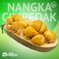 Buah Nangka Cimpedak Segar / Nangka Cimpedak / 1 Buah