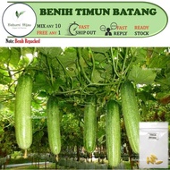 5 biji benih TIMUN BATANG F1 Bintang Asia/ Leckat cucumber hybrid seeds