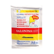Salonpas Koyo Hot 10 Sheets 5x2