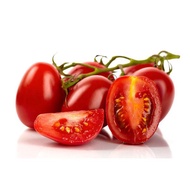Tomato Roma VF 40 to 60 Seeds Dwarf Vegetable Heirloom, Specially Sourced For SG