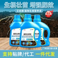 Wholesale Aishangke Plant Rooting Liquid Rooting Strengthening Seedling Nutrient Solution Rooting Ag
