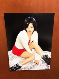 蘋果日報～絕版硬卡～梁詠琪海報