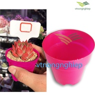 5 mini plastic plant pots, succulents, cacti, 7.5cm