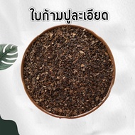 ดินใบก้ามปูหมัก ร่อนละเอียด ร่อนหยาบ ดินใบก้ามปูแท้ 100% ไม่ผสมดิน พร้อมส่ง!!