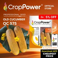 (100 SEEDS) Biji Benih Timun Tua Gold bar 金霸 OC575 CROP POWER F1 HYBRID Old Cucumber Seeds 老黄瓜种子 OC 