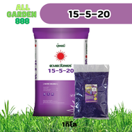 ปุ๋ย 15-5-20 ดวงตะวันเพชร สูตรขยายทรงทุเรียน ผลไม้ทึกชนิด เร่งความหวาน ขยายผล เพิ่มน้ำหนัก เนื้อแน่น