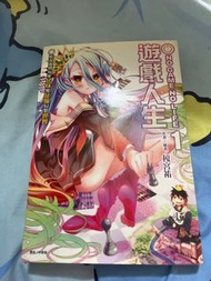 遊戲人生（小說版）