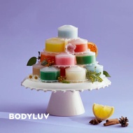 全新 BODYLUV 韓國 花灑 沖涼 維他命 濾芯 現貨 Shower Vita Pure Filter