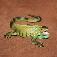 Safari Children's Cognitive Toys Reptile Model Micro Shooting Scene Decoration Iguana Lizard