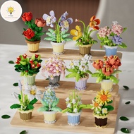 Lovely DIY Potted Flower Assembly Set - Desk Decoration Puzzle Toy, Meaningful Gift