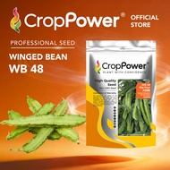 (500 GRAM) Biji Benih Kacang Botol Big Four 大四喜 WB48 CROP POWER Winged Bean seeds 四棱豆  WB 48
