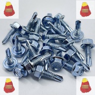 #10 x 5/8 Awning Screws (Skru Besi) Hex Head Self Drilling Screws