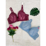 FELANCY BRA BRUKAT/ 1025