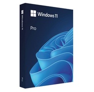 Windows 11 PRO USB แท้ (FPP) 64 Bit | for 1 PC | Anything Else Digital