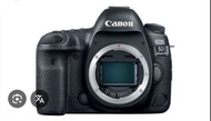 Canon 5D4 or 5d3 body