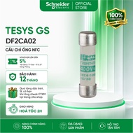 TeSys GS cylindrical NFC tube fuse 10x38 AM 500VAC - Schneider Electric - DF2CA01 DF2CA02 DF2CA04 DF